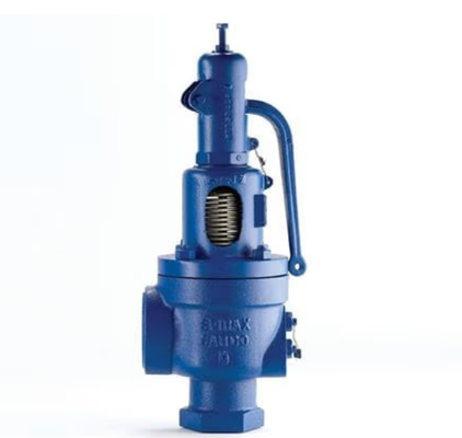 La soluzione definitiva Valvole di sicurezza per forno a gas Spiraxsarco SV607DS e Burkert Solenoide