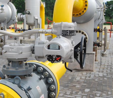 Valvole elettriche azionate da rotore in acciaio inossidabile Valvole elettriche azionatori Valvole a sfera Valvole di controllo del flusso