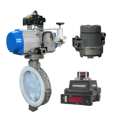 Valvola di controllo con Fisher 846 I/P Converter & TopWorx GO Switch Modello 73 / Modello 81 Limit Switch e Fisher DVC6200 Valve Positioner per il controllo ad alta precisione in ambienti difficili
