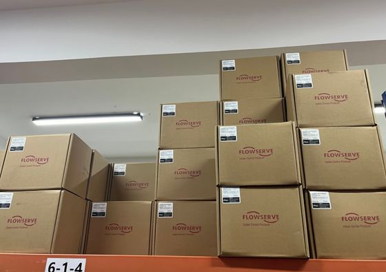 Chinese Control Ball Valve with Flowserve Valve Positoner Logix 3800 PMV D3 PMV P5/EP5 520MD 3200MD and Fisher 67cfr Regulator