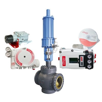 Flowserve 3841-43MA-D43R-1130-00 3821-28EA-D43L-1130-00 Logix 3800 Controller di posizionamento digitale industriale