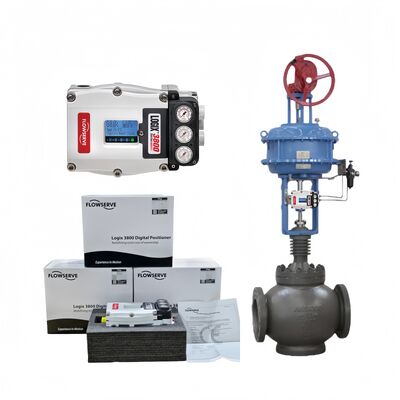 Flowserve 3841-43MA-D43R-1130-00 3821-28EA-D43L-1130-00 Logix 3800 Controller di posizionamento digitale industriale