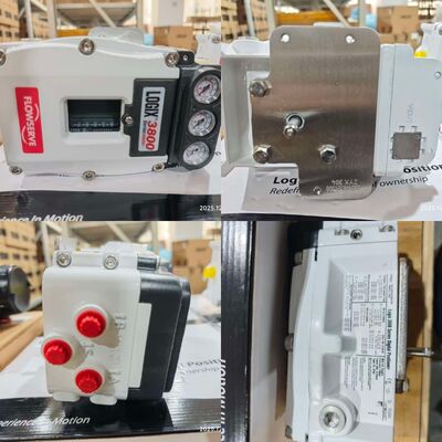 Flowserve 3841-43MA-D43R-1130-00 3821-28EA-D43L-1130-00 Logix 3800 Controller di posizionamento digitale industriale