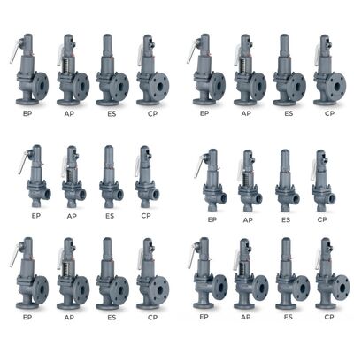 VYC Industrial Valve AIT 485 486 494 495 496 596 696 Valvola di sicurezza a scarico rapido Valvola di sicurezza a piena apertura con molla di compressione