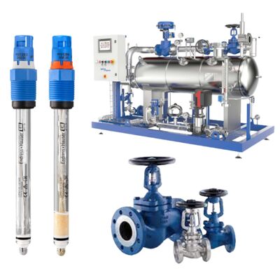 Analisi di liquidi Potenziometrica Endress Hauser CPS11E-UR7AAA2 e Valvola a soffietto Spiraxarco BSA2T BSA3T per Acqua e Acque reflue