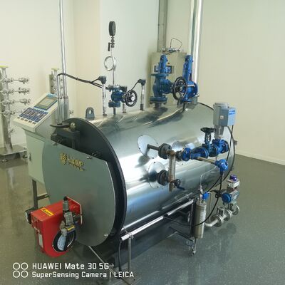 Endress e Hauser Proline Prowirl F 200 Vortex Flowmeter e Spirax Durable Sarco Valve riducente della pressione DP27 25P