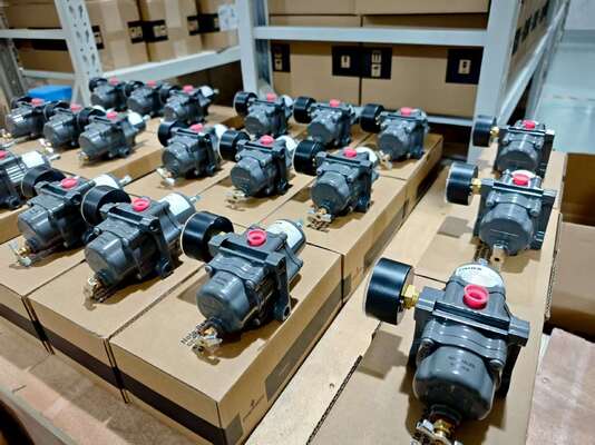 Cina Valvola di controllo pneumatico con SAMSON 3730 3731 Smart Valve Positioner e Fisher 67CFR 67DFR FILTER REGULATOR in stock
