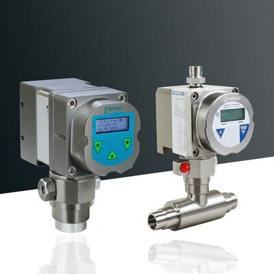 Misuratore di portata Bronkhorst IN-FLOW MFM originale e misuratore di portata E+H Endress+Hauser – Ideale per saldatura, trattamento termico e verniciatura a polvere, disponibile a magazzino