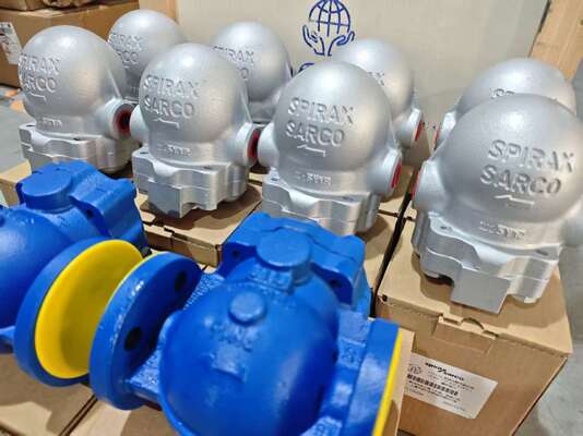 Nuova connessione flangiata FT14X FT14 Connessione a vite FTGS14 SPIRAX SARCO Scaricatore di condensa a galleggiante sferico da DN15 a DN50 PN16 su attrezzatura montata su skid