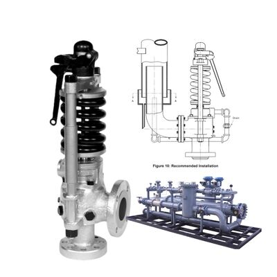 Valvola di sicurezza a molla a massiccia portata consolidata per vapore ad alta temperatura secondo la norma API 526