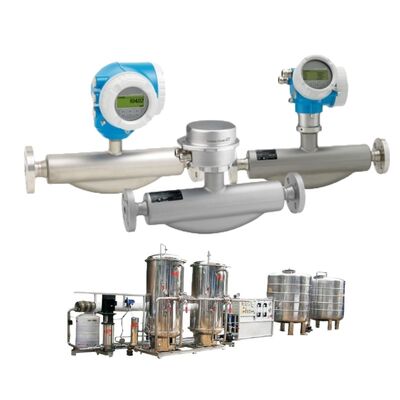 Misuratore di flusso ad alta precisione Endress Hauser Coriolis Promass F 100 F 200 Misuratore di flusso di massa di Coriolis per liquidi e gas
