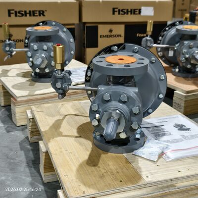 Dispositivi di riduzione della pressione di tipo Fisher 1098-EGR e 1098H-EGR e 63EG-98HM con scorta
