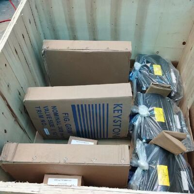 Valvola a farfalla di controllo Keystone 360 con attuatore elettrico F89