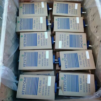 Valvola a farfalla di controllo Keystone 360 con attuatore elettrico F89