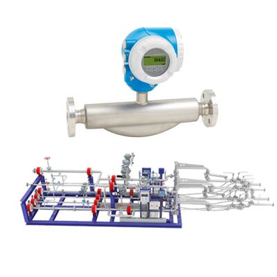 Misuratore di portata massica Coriolis Endress+Hauser Proline Promass F 300 8F3B40 per misurazione di portata industriale