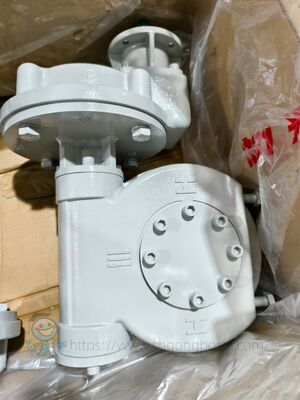 Quarter Turn Gearbox Rotork IW5 IR1 Serie Worm Gearbox Valvola a sfera elettrica Valvola farfalla Valvola a presa