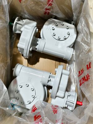 Rotork IW Serie Valvola Worm Gearbox Quarter Turn Gear Operatore auto bloccaggio sfera Butterfly Valvola a presa