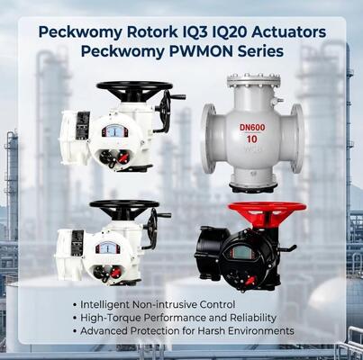 Peckwomy PWMON Serie Azionatori elettrici a sfera OEM a prova di esplosione Display Gas Media Azionatori a rotore intercambiabili IQ3 IQ20