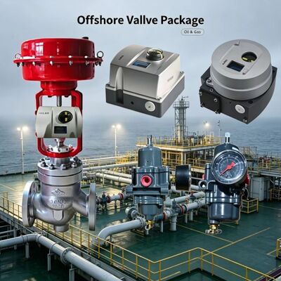 Valmet Me-sto Neles ND9000 Valvola di posizionamento di controllo con Valvola riduttrice della pressione del filtro Fi-sher 67CFR