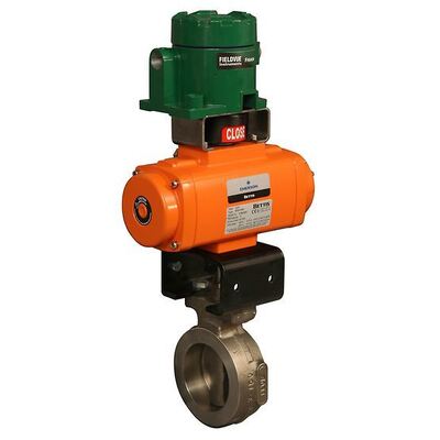 Fisher FIELDVUE 4400 Trasmettitore Digitale di Posizione Trasmettitore Feedback 4-20 mA con Valvola