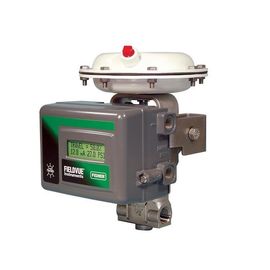 Il regolatore di valvola di Fisher HC DVC2000 Digital per valvola di regolazione di EWT ET di EZ con 67DFR filtra il regolatore con molte azione