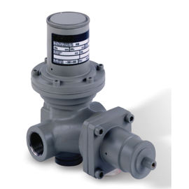 PN 16 corpo materiali il gas pressione certificazione del CE del regolatore RB1700-3/4»