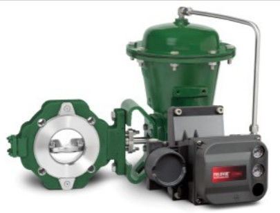 Valvola di regolazione facile di Fisher e EZ in prodotto chimico o idrocarburo che elabora le applicazioni e materiale in acciaio al carbonio, Stainles