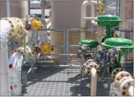 Valvola di regolazione facile di Fisher e EZ in prodotto chimico o idrocarburo che elabora le applicazioni e materiale in acciaio al carbonio, Stainles