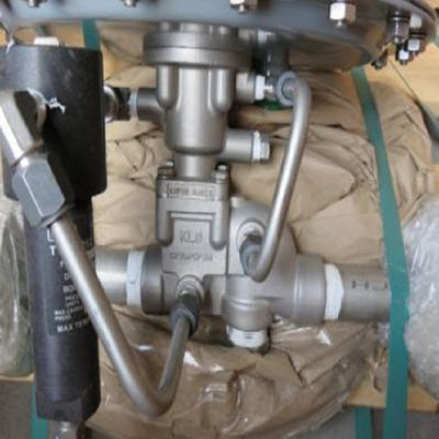 Valvola ricoprente del carro armato del risparmiatore del vapore di Fisher Type ACE95 con tecnologia basso messa del punto del regolatore del pescatore