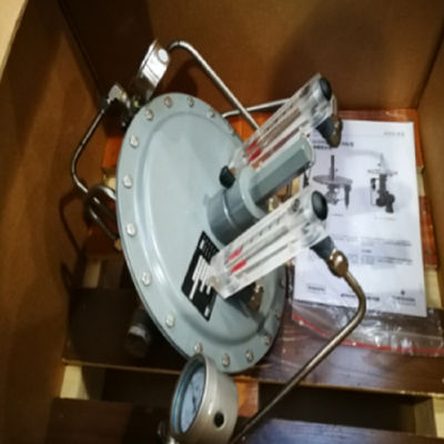 Valvola ricoprente del carro armato del risparmiatore del vapore di Fisher Type ACE95 con tecnologia basso messa del punto del regolatore del pescatore