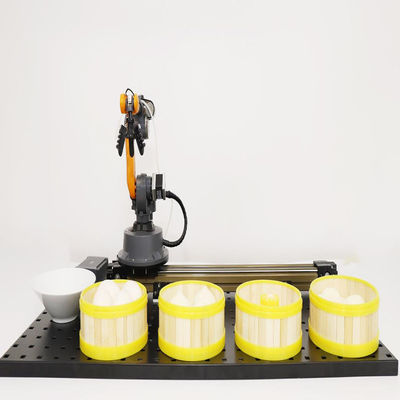 Intelligenza artificiale del robot industriale di asse di WLkata 6 mini per istruzione