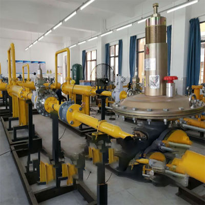Scivolo duplex integrato cinese della pompa di spinta del combustibile liquido dell'attrezzatura combinato con il regolatore del PESCATORE DVC 6200