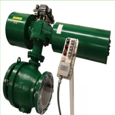 Posizionatore di DVC6200 SIS Digital Positioner Control Valve