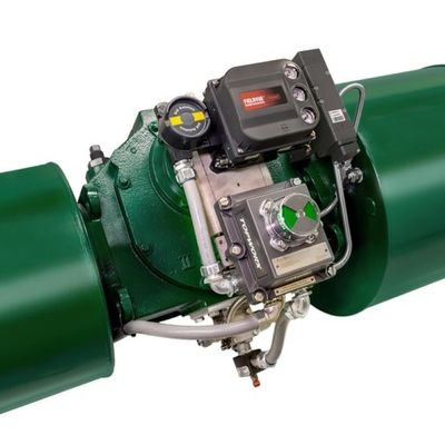 Posizionatore di DVC6200 SIS Digital Positioner Control Valve
