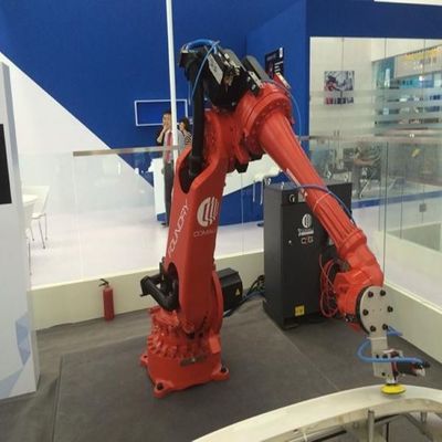 Braccio NS-16-1.65 del robot del manipolatore industriale per il robot del posto e della scelta