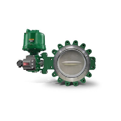 Fisher 3620J con il posizionatore elettropneumatico a semplice effetto degli azionatori rotatori