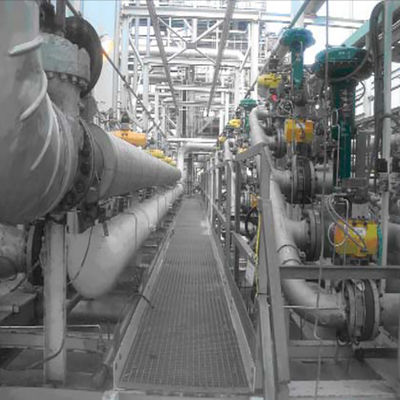 Pesce-Er valvola di regolazione pneumatica di EZ con il regolatore di valvola di DVC6200 DVC2000 Digital