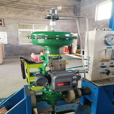 Pesce-Er valvola di regolazione pneumatica di EZ con il regolatore di valvola di DVC6200 DVC2000 Digital