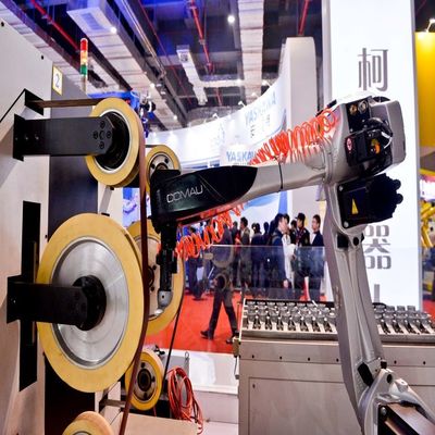 Robot di lucidatura Racer-7-1.0 Carico utile 7 kg con 6 assi Braccio robotico per la manipolazione automatizzata