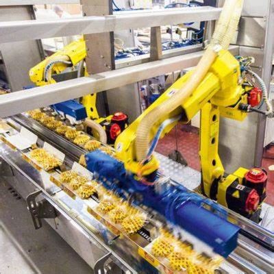 6 industriale robot del robot del braccio del braccio M-10iA/12 di asse usato per il robot di pittura