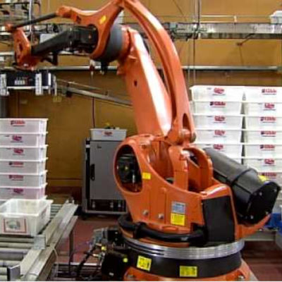 Robot robot industriale dell'imballaggio del braccio di asse di PA 5 del Kr 120 di prezzi di Palletizer del robot