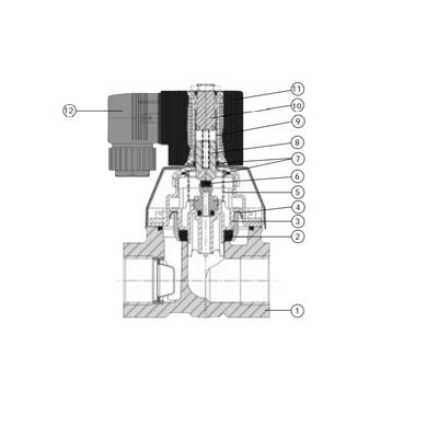 Tipo 6221 modo della valvola di pistone 2/2 Servo-assistito come elettrovalvola a solenoide per alta aria compressa pulsata e
