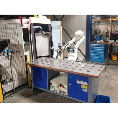 6 Asse Arm Robot Palletizer RS020N per palletizzazione