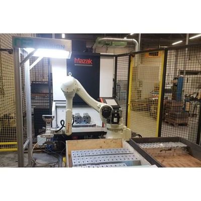 6 Asse Arm Robot Palletizer RS020N per palletizzazione