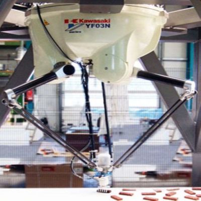 Carico utile robot 3kg dell'Assemblea YF003N del braccio per il robot di delta di asse del robot per montaggio 4