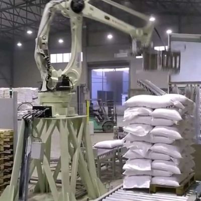 Robot pallettizzatore CP180L 4 assi braccio robotico per l'automazione della pallettizzazione come robot pallettizzatore