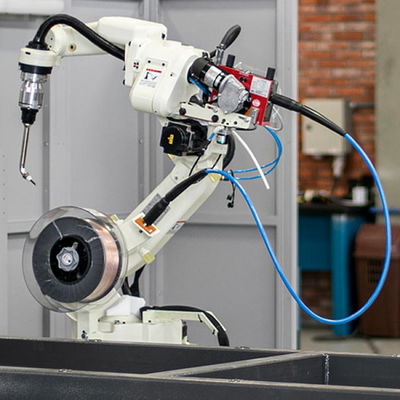 Scelta della macchina del pallet di Palletizer del robot di asse del braccio 6 del robot del robot industriale FD-B6 e macchina del posto
