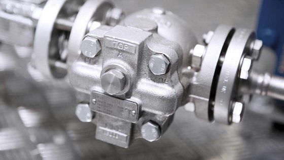 Valvola automatica avvitata FTGS14 Spirax Sarco del galleggiante di palla