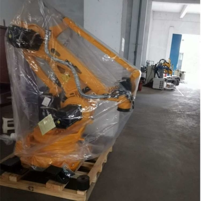 Braccio robotico industriale ER60-2000-PL con purificatore CNGBS per robot di movimentazione e palettatura
