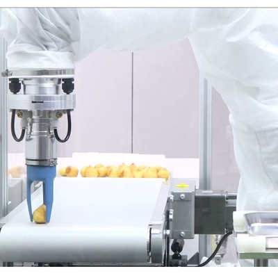 Piccolo braccio robotico industriale 6 assi VS-050/060 con CNGBS Robot Gripper come robot universale